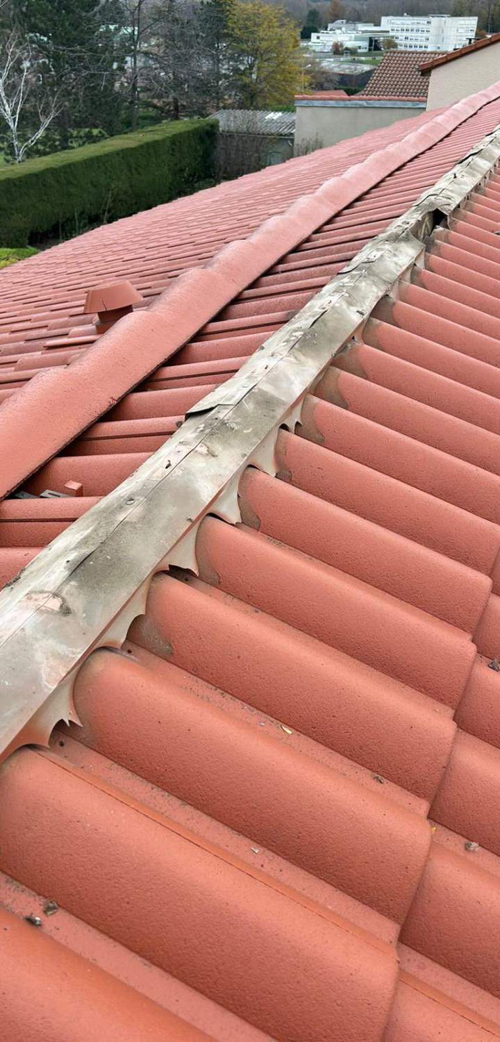 Travaux de zinguerie Clermont-Ferrand